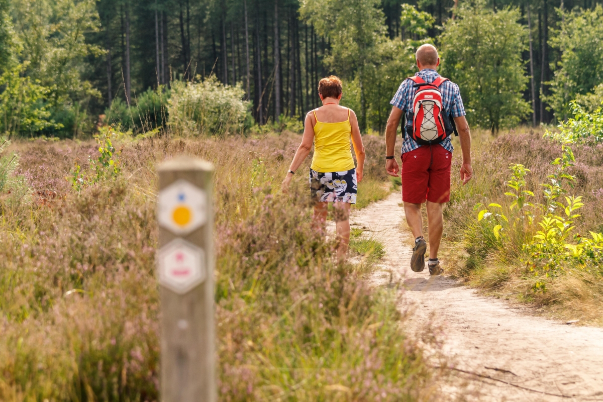 Online infosessie Digitaal Wandelaanbod
