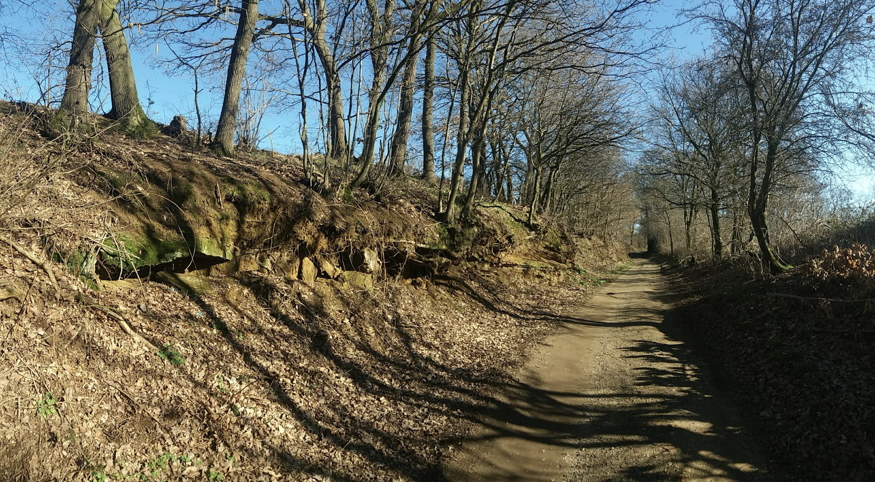Ontdek de holle wegen van de Venusberg