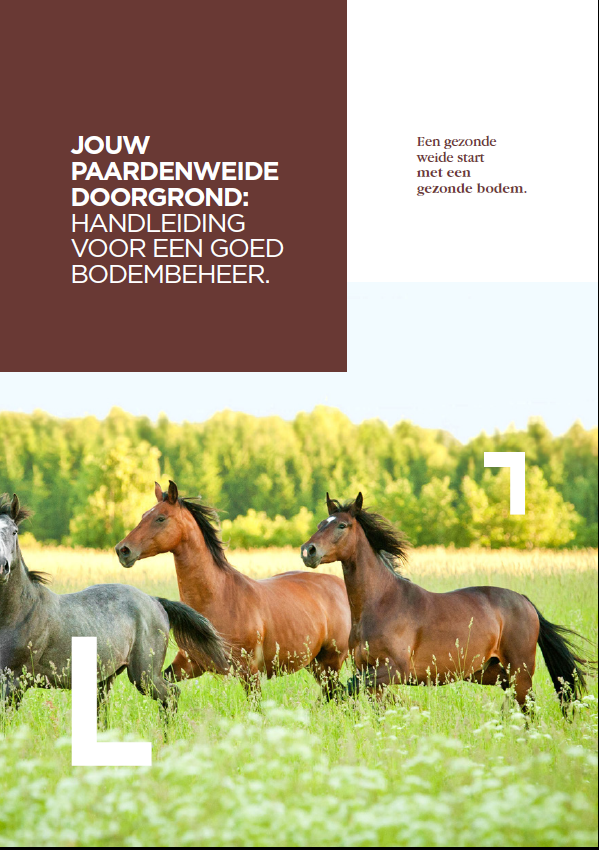 Jouw paardenweide doorgrond: handleiding voor een goed bodembeheer