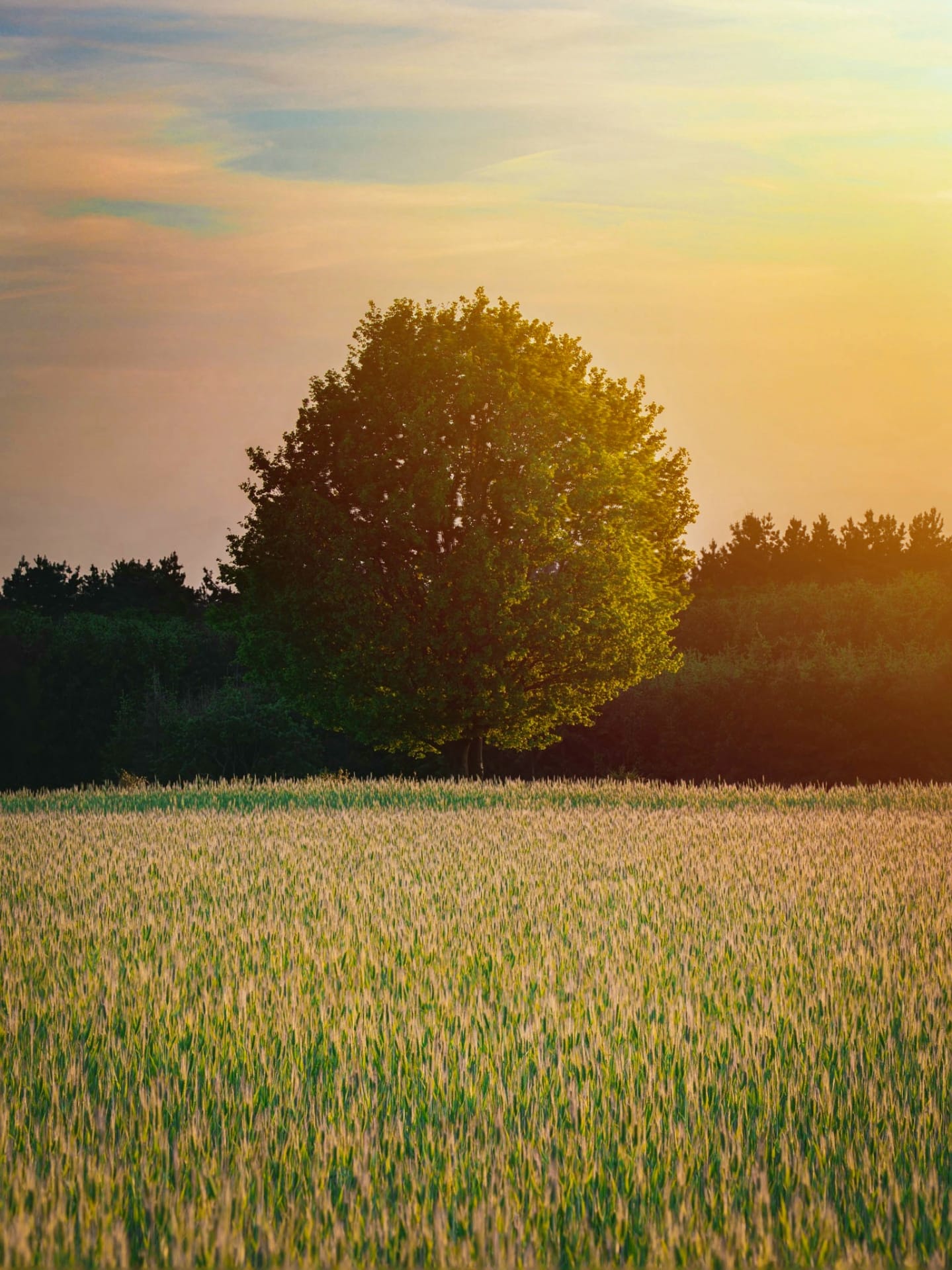 Landschapszorg op maat