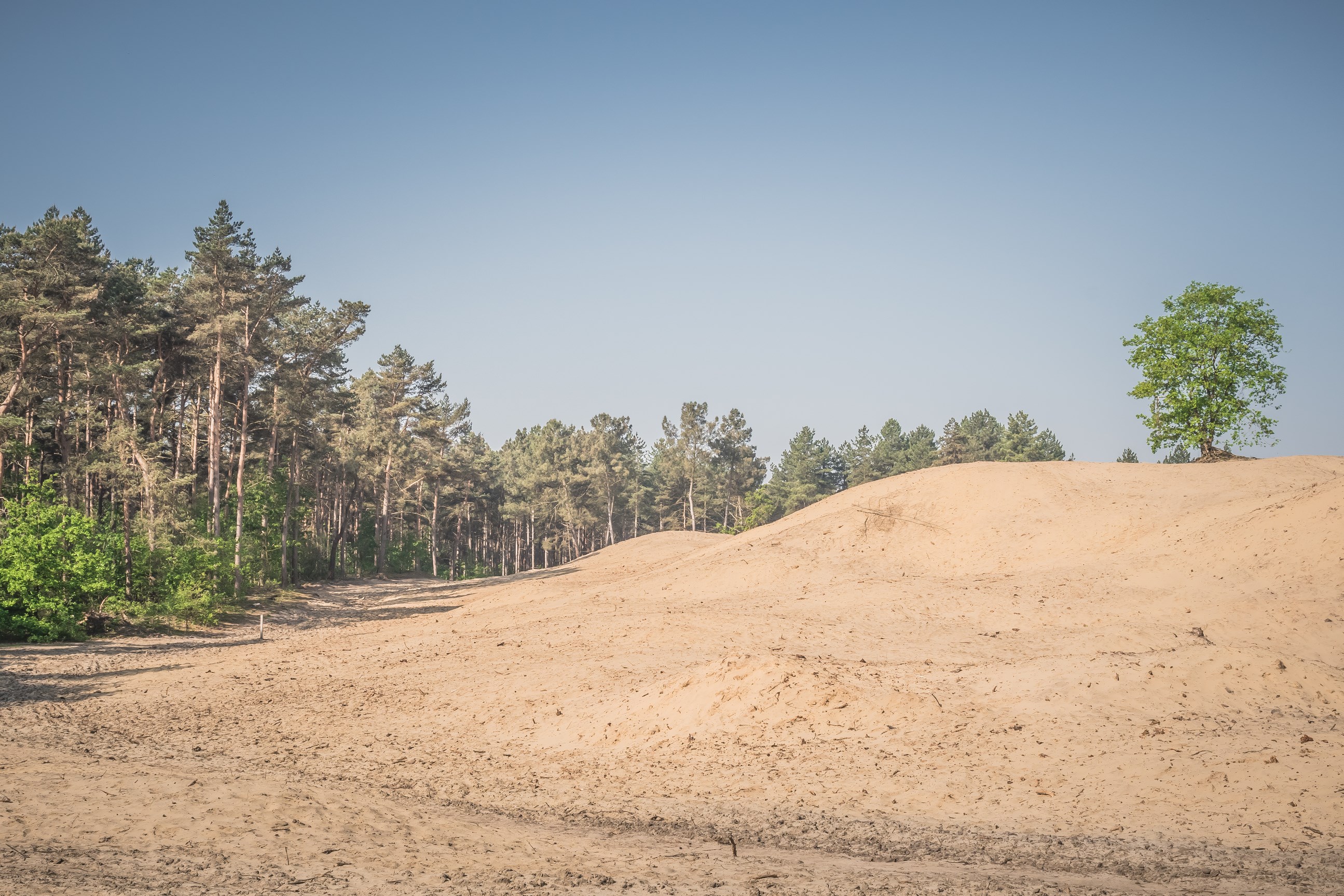 Duimen voor landduinen: compilatie